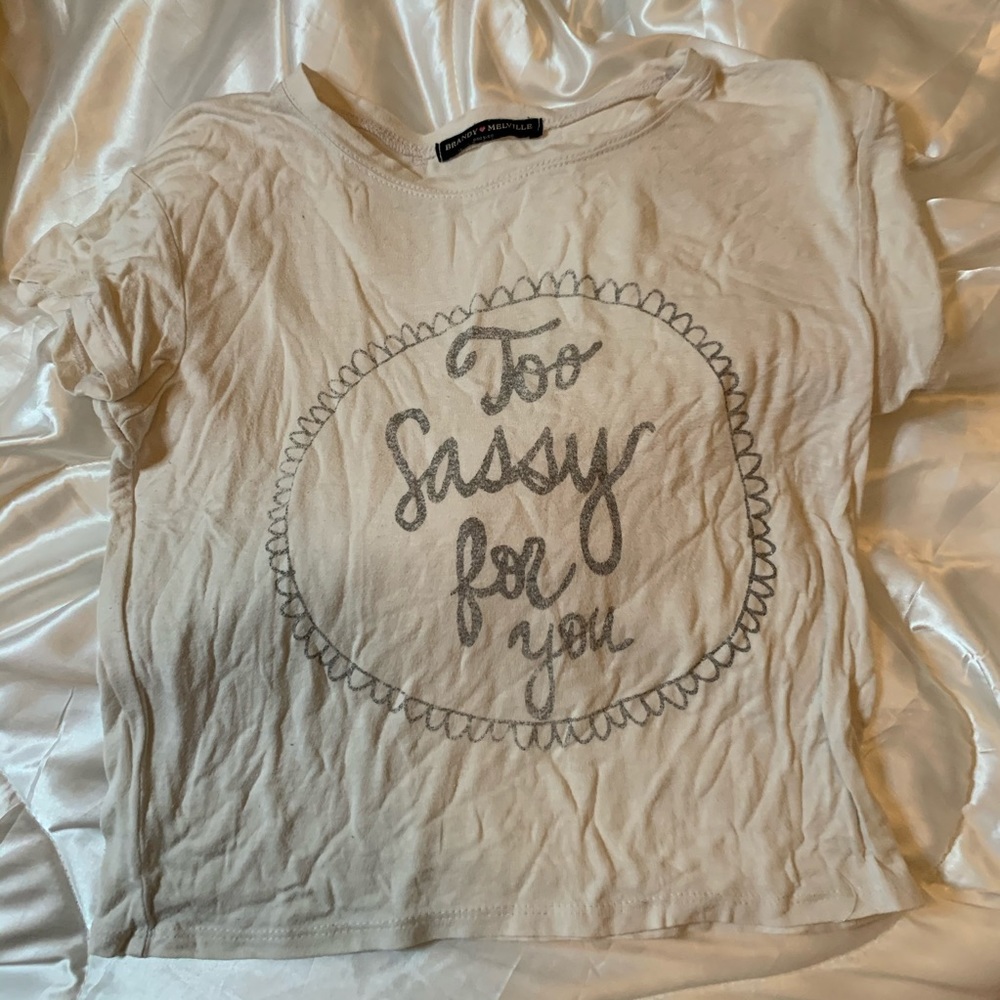 Brandy Melville Crop Top